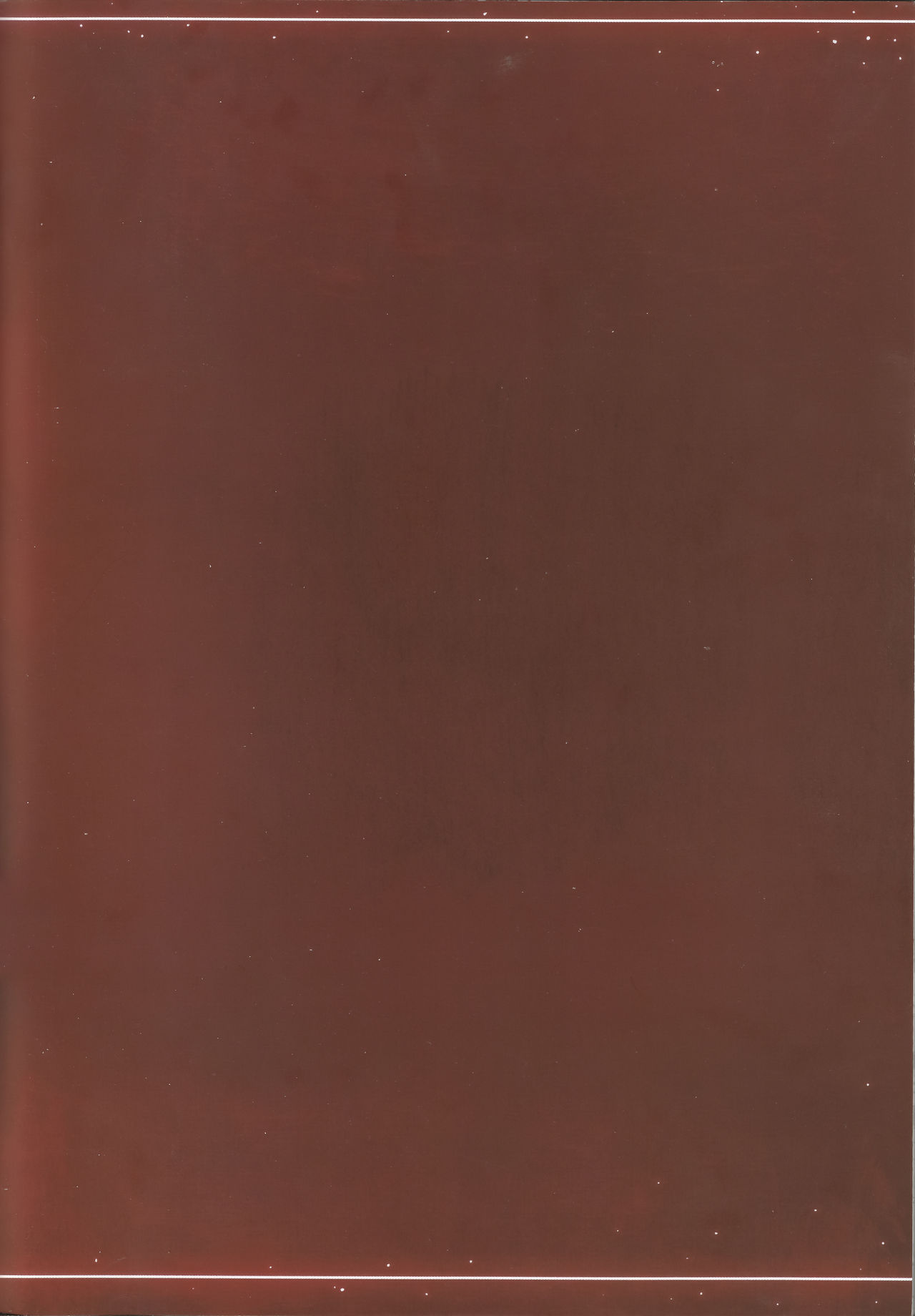 (C93) [ピンポイント (ペーター・ミツル)] 南国蜜姫 (ファイアーエムブレムif) [中国翻訳]