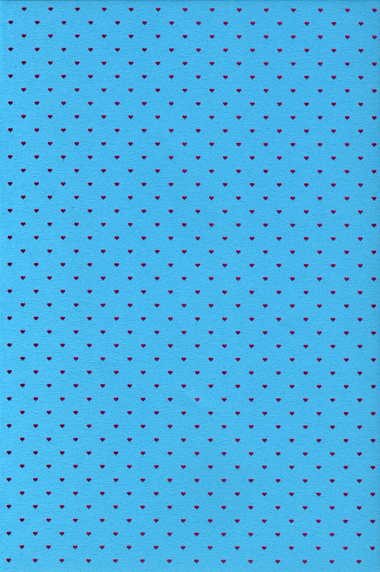 (C88) [チームキハラ (もじゃりん)] OH!MY!CYAN! (SHOW BY ROCK!!) [中国翻訳]