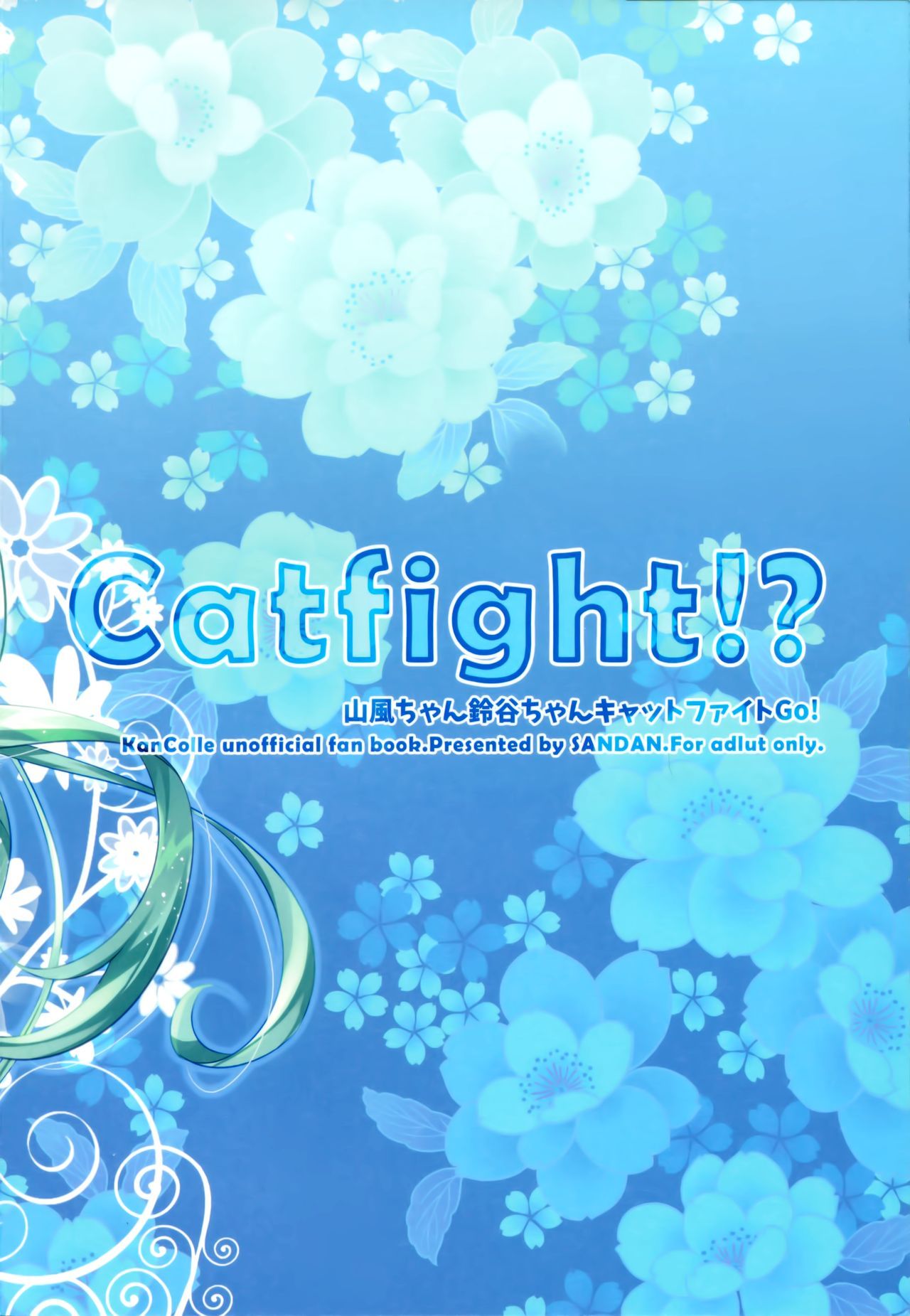 キャットファイト⁉