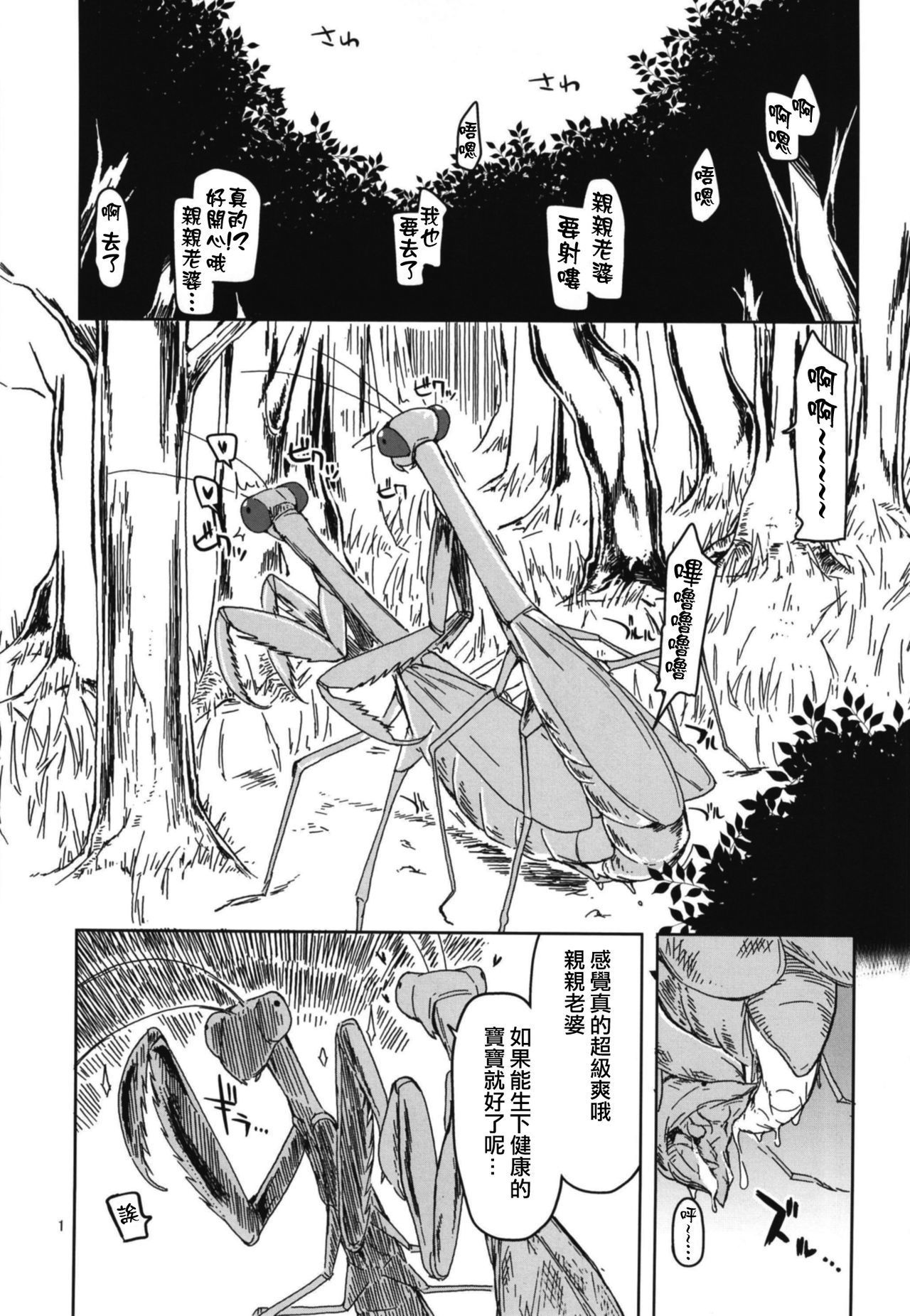 どすけべエルフの石館日記5