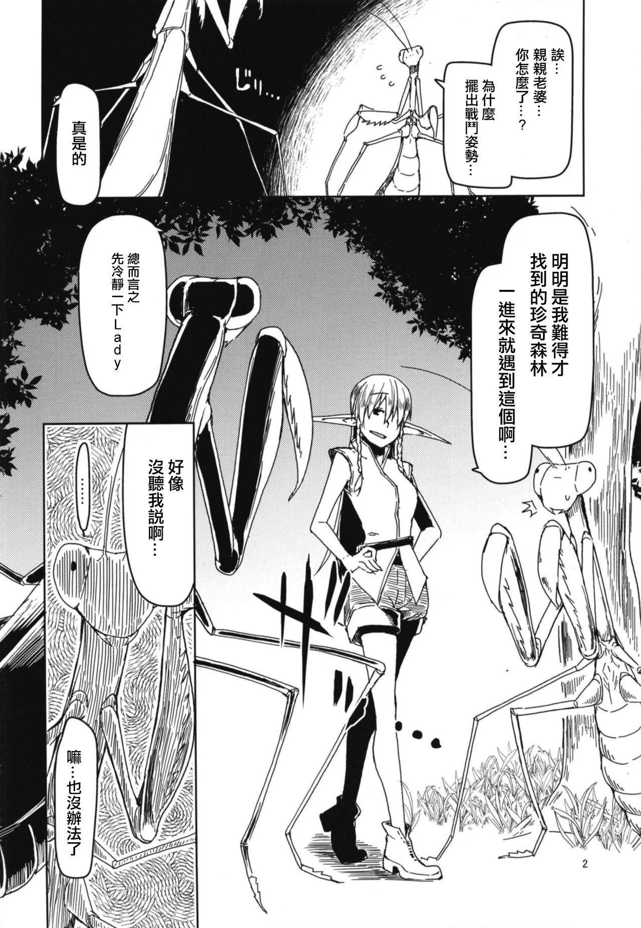 どすけべエルフの石館日記5