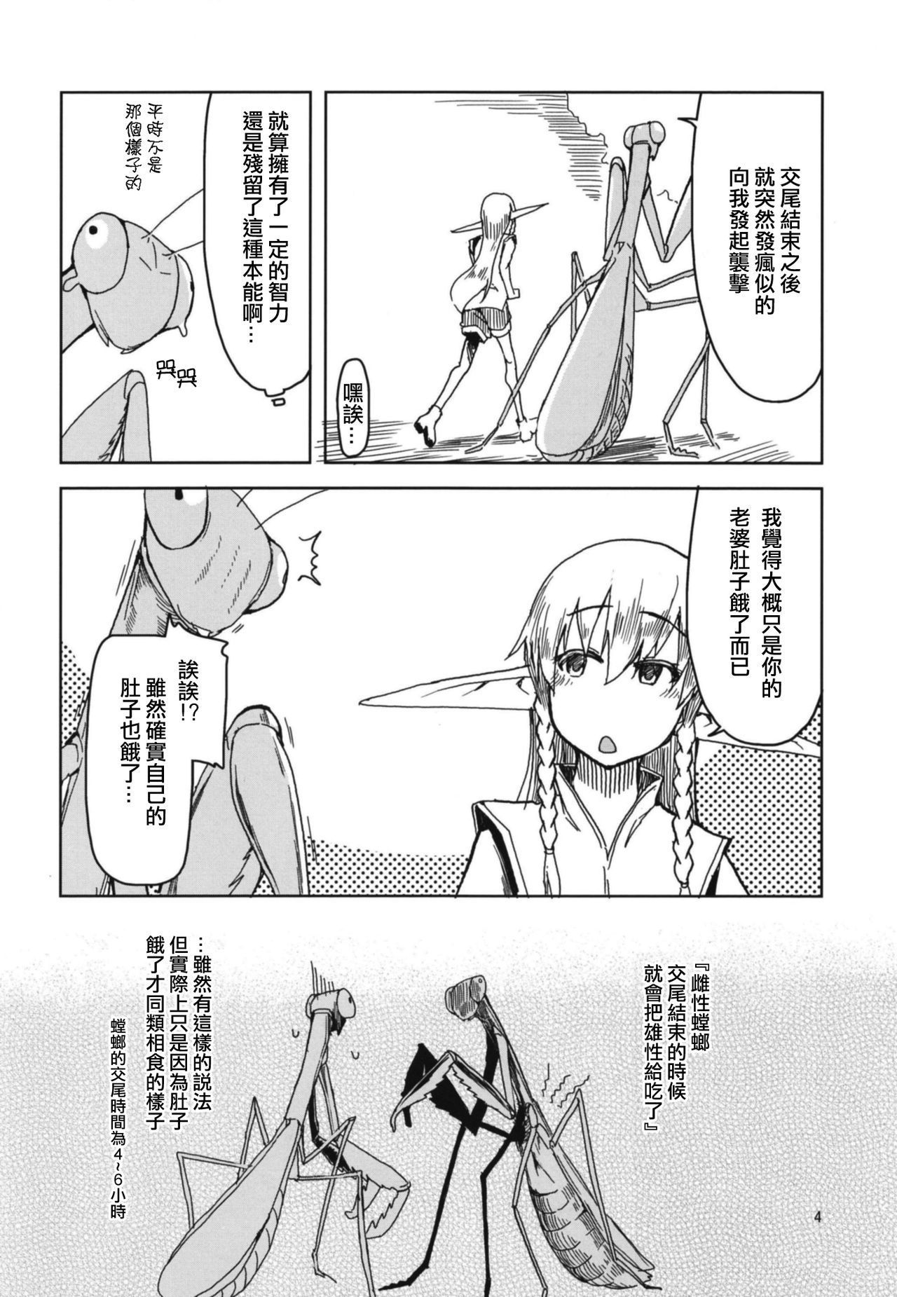 どすけべエルフの石館日記5