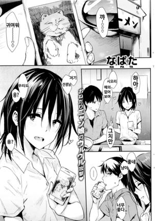 ネコ飼いたい| 고양이사고싶어 ネコ飼いたい| 고양이사고싶어