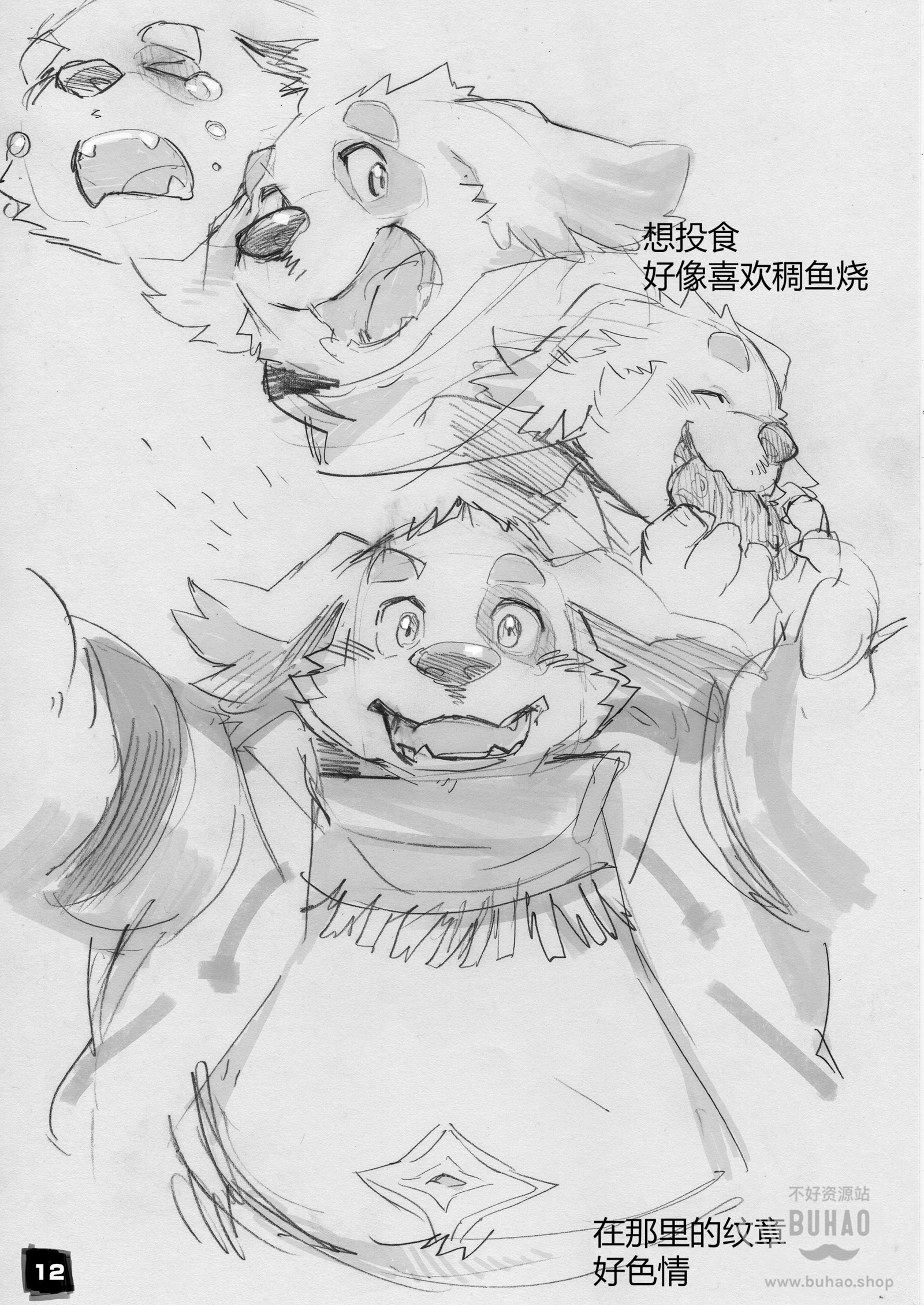 呼唤不来的犬塚