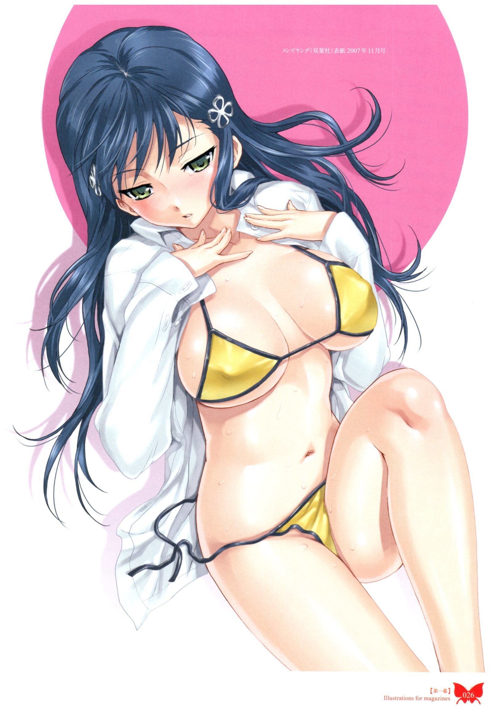 八宝備仁画集 紅蝶(ほてり) 八宝備仁画集 紅蝶(ほてり)