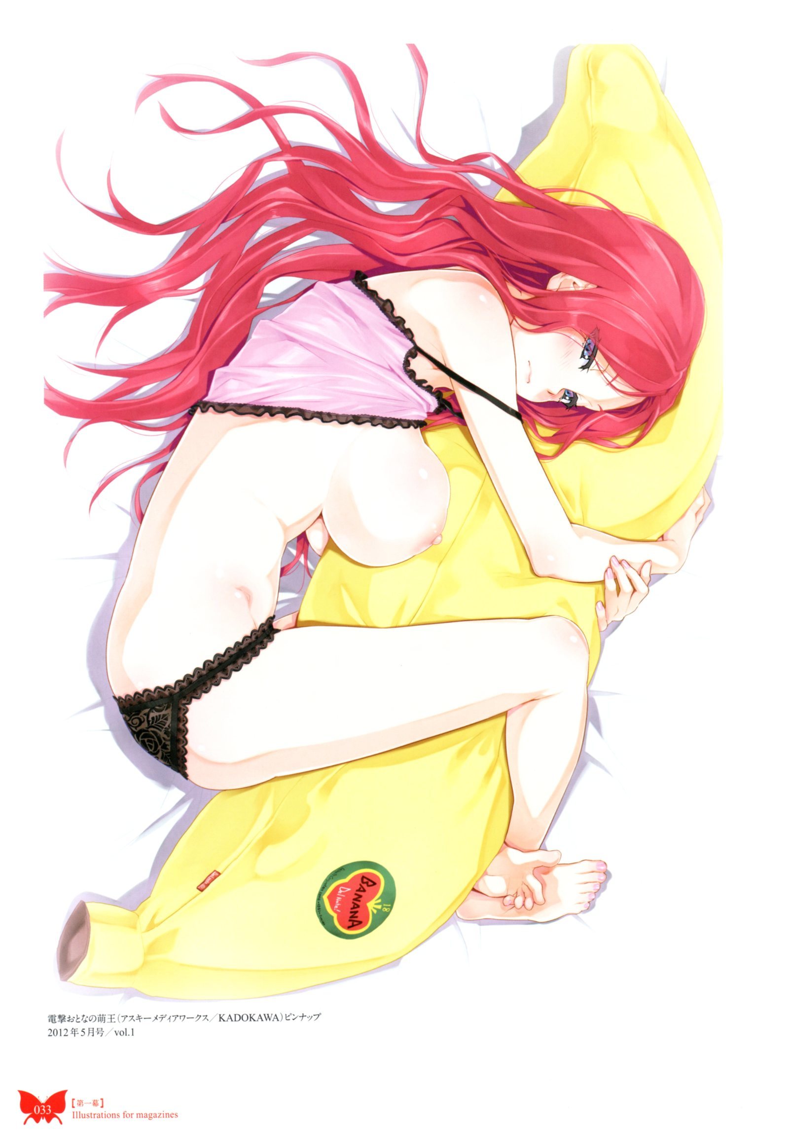 八宝備仁画集 紅蝶(ほてり) 八宝備仁画集 紅蝶(ほてり)