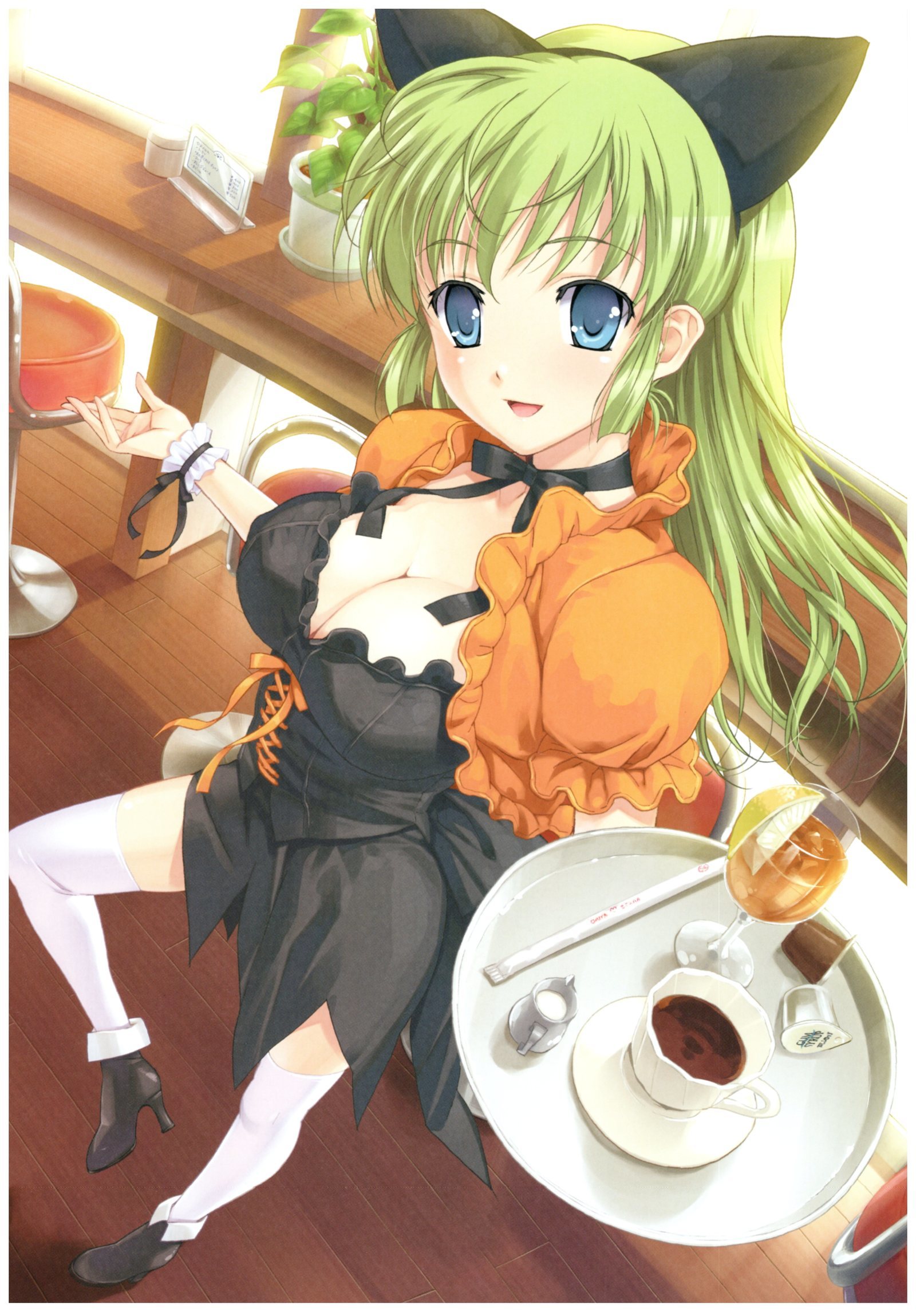 八宝備仁画集 紅蝶(ほてり) 八宝備仁画集 紅蝶(ほてり)