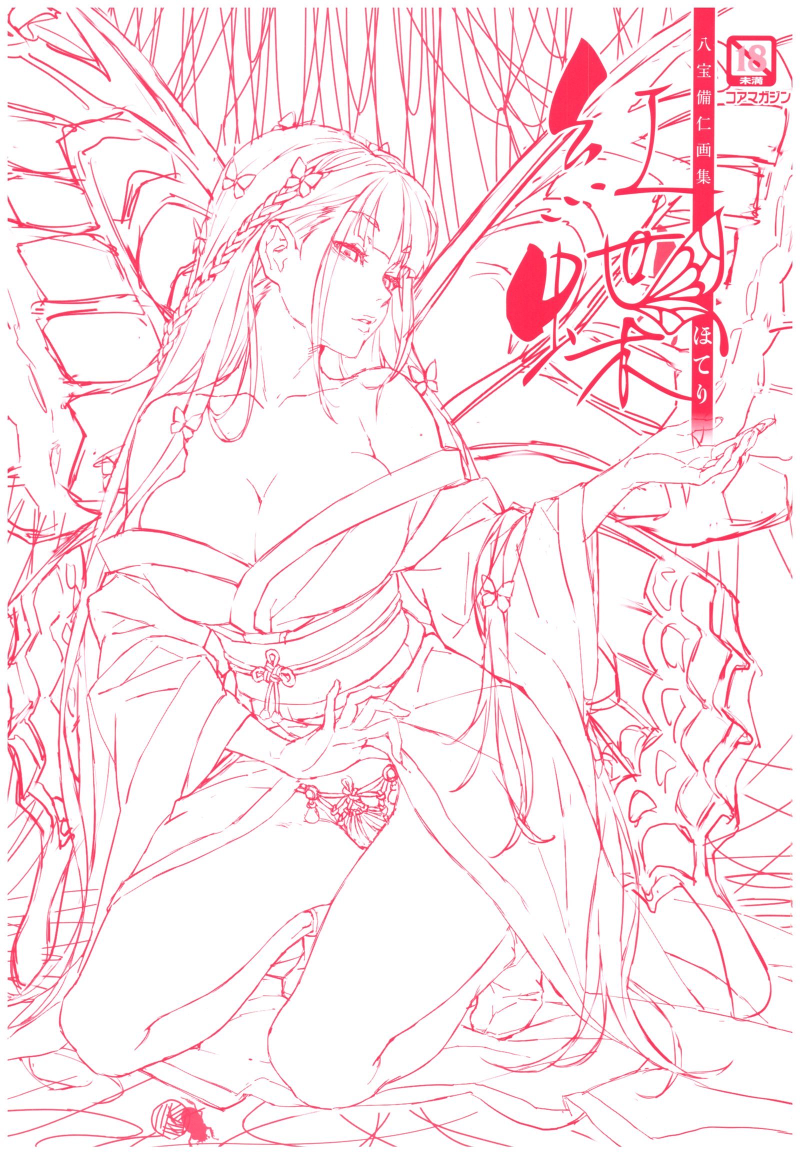 八宝備仁画集 紅蝶(ほてり) 八宝備仁画集 紅蝶(ほてり)