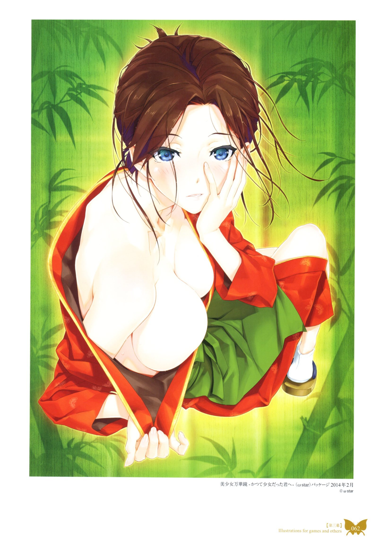 八宝備仁画集 紅蝶(ほてり) 八宝備仁画集 紅蝶(ほてり)