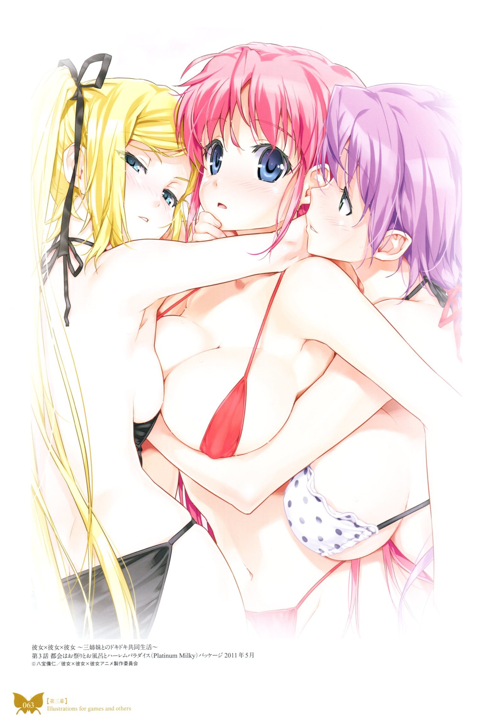 八宝備仁画集 紅蝶(ほてり) 八宝備仁画集 紅蝶(ほてり)