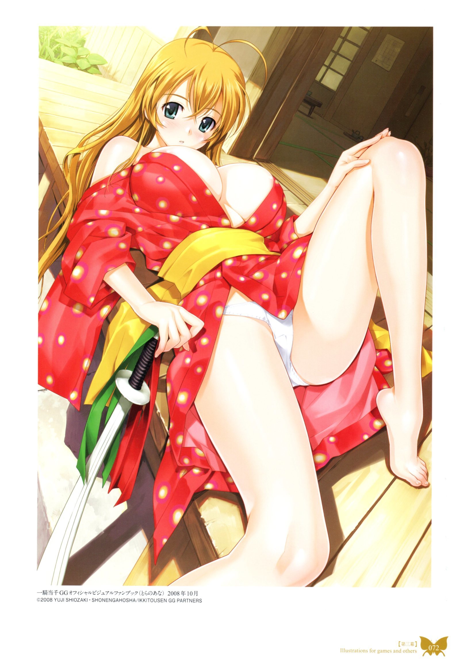 八宝備仁画集 紅蝶(ほてり) 八宝備仁画集 紅蝶(ほてり)