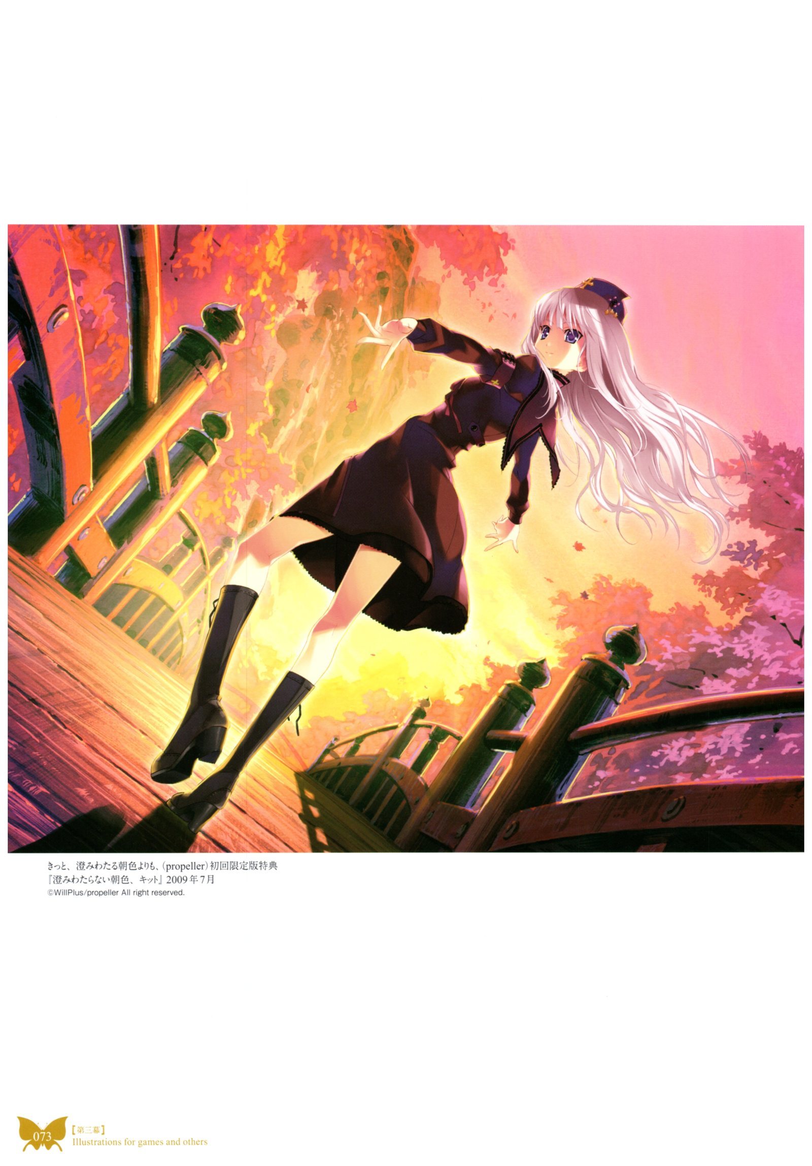 八宝備仁画集 紅蝶(ほてり) 八宝備仁画集 紅蝶(ほてり)