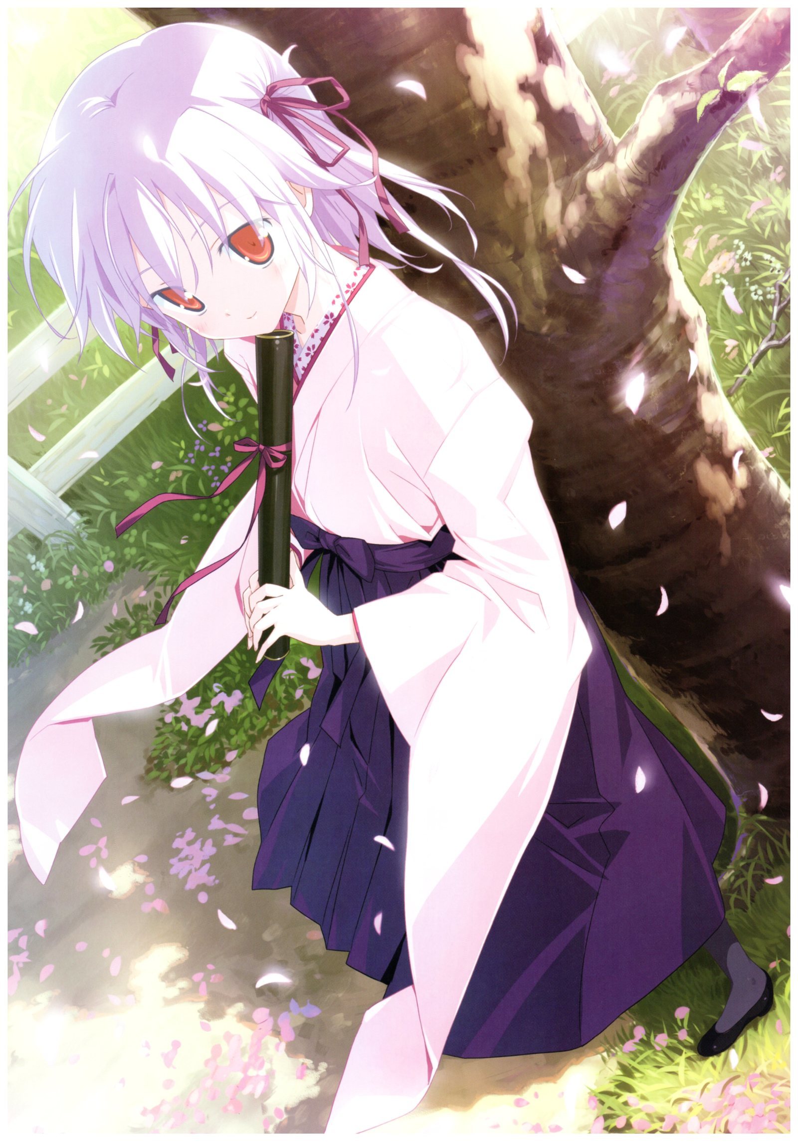 八宝備仁画集 紅蝶(ほてり) 八宝備仁画集 紅蝶(ほてり)