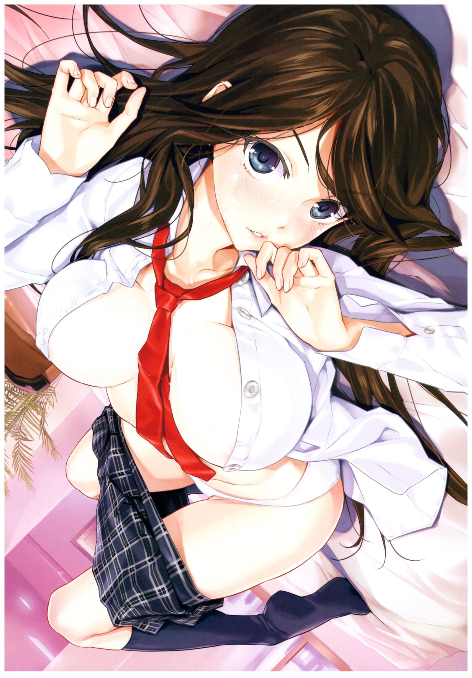 八宝備仁画集 紅蝶(ほてり) 八宝備仁画集 紅蝶(ほてり)