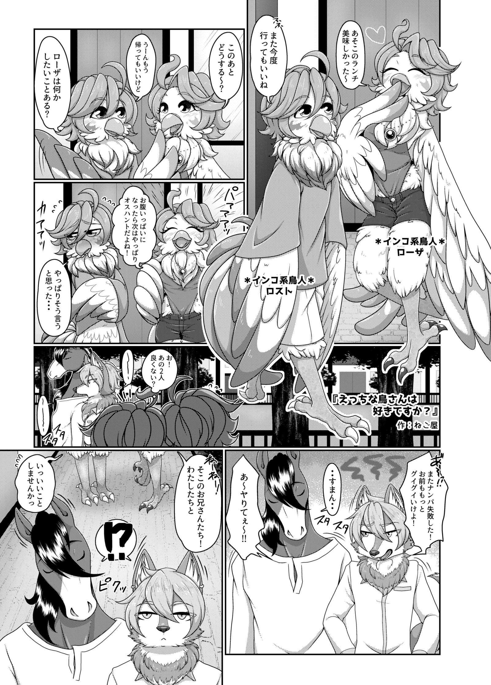 のぞいてみよう_総排出腔__