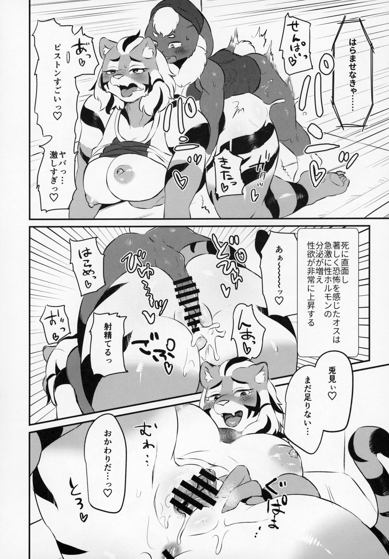 ケモッコラバーズ9