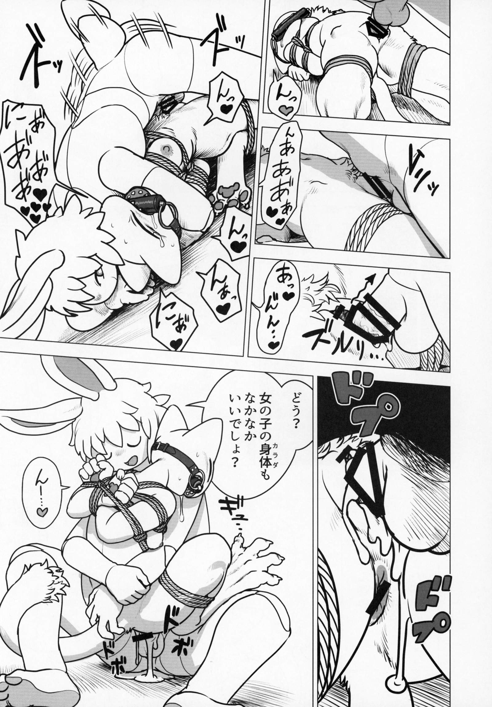 ケモッコラバーズ9