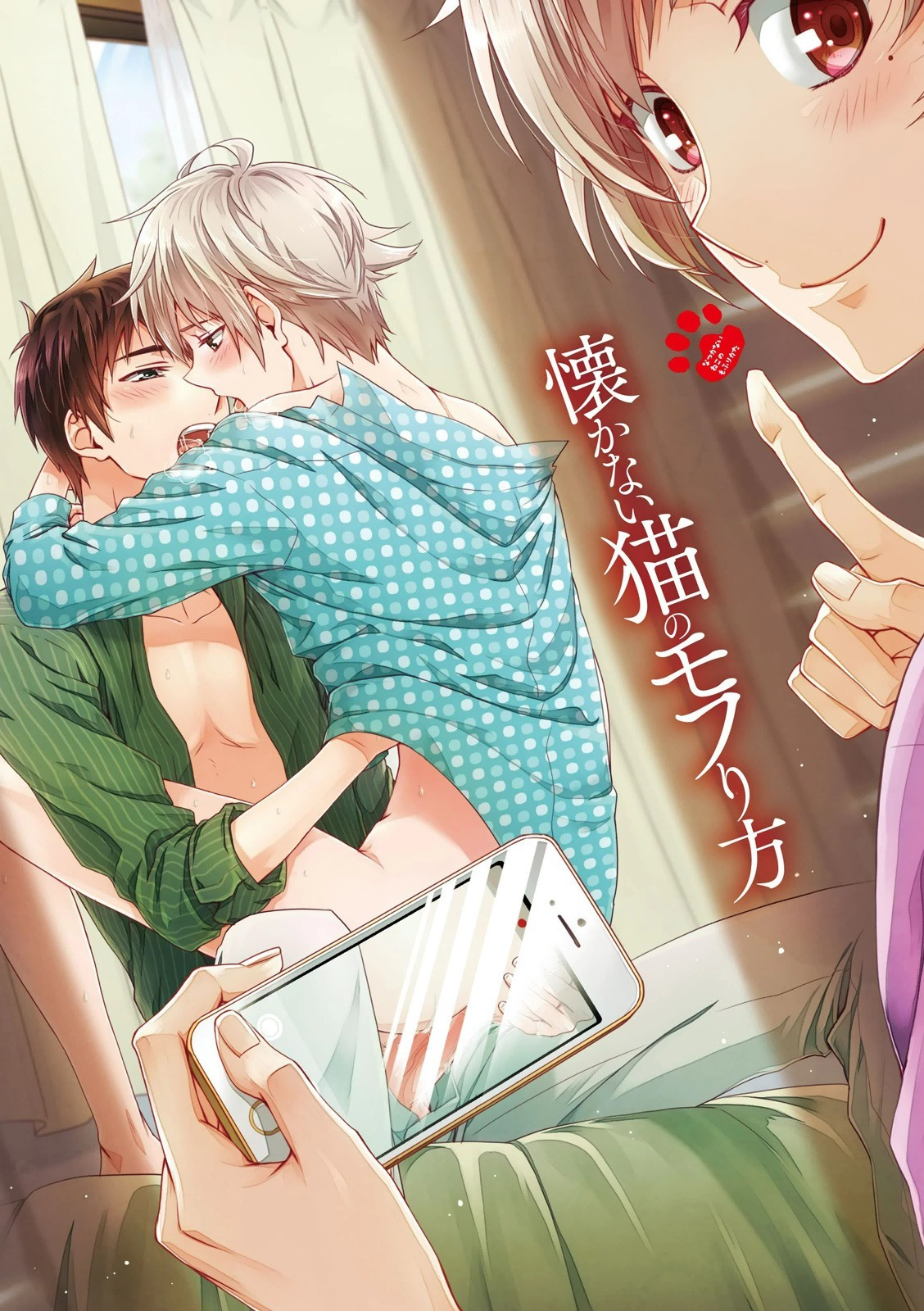 夏内猫のもふりかた 夏内猫のもふりかた