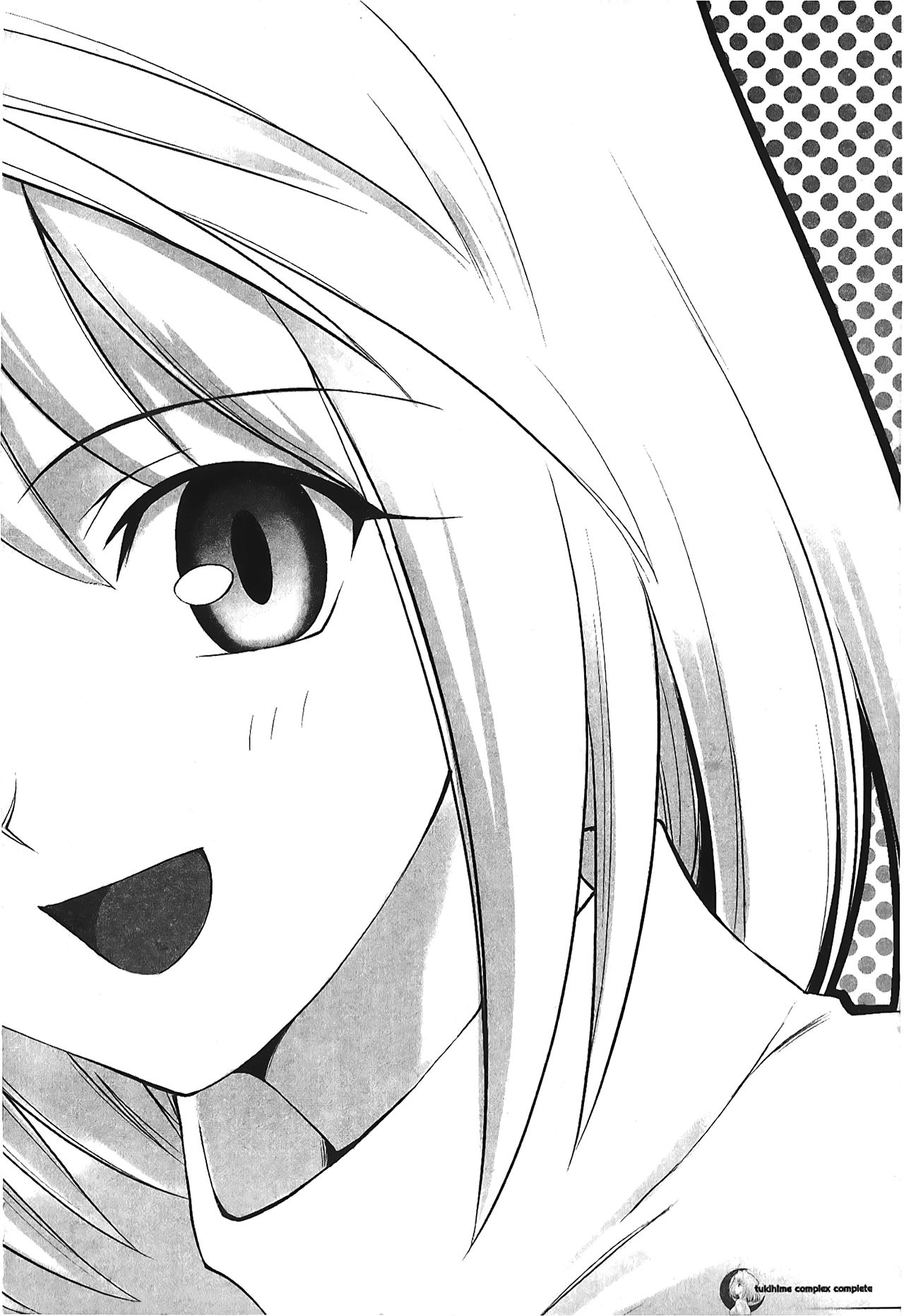 [Typemoon] 月之姬 參 (月姬) [中国翻訳]