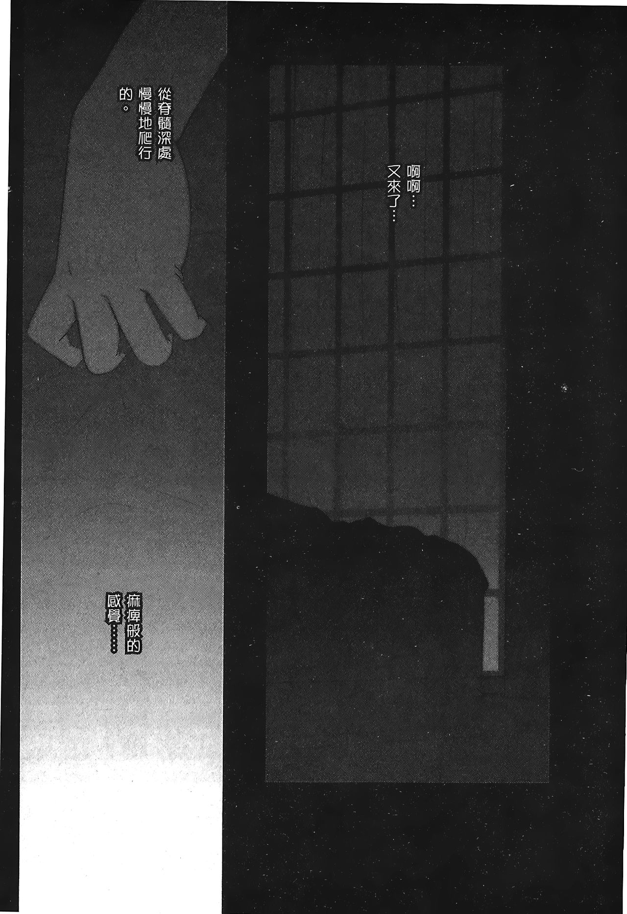 [Typemoon] 月之姬 參 (月姬) [中国翻訳]