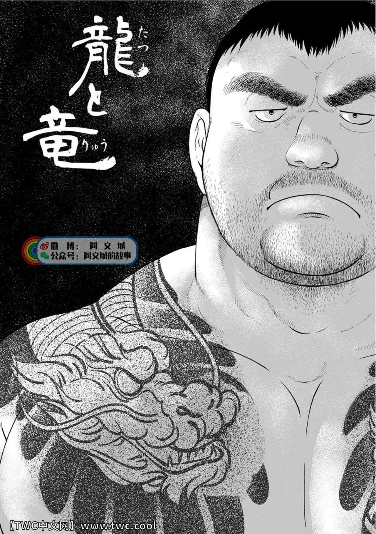 [廣岡仁、ヒコ] 鴉の塒 カラスのねぐら [中国翻訳]