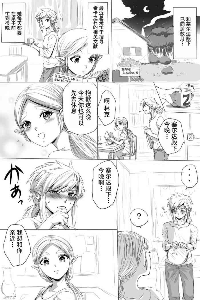 [わさび] ブレワイのリンゼルがひたすらいちゃいちゃしてすけべなことする漫画 (ゼルダの伝説 ブレス オブ ザ ワイルド) [中国翻訳]
