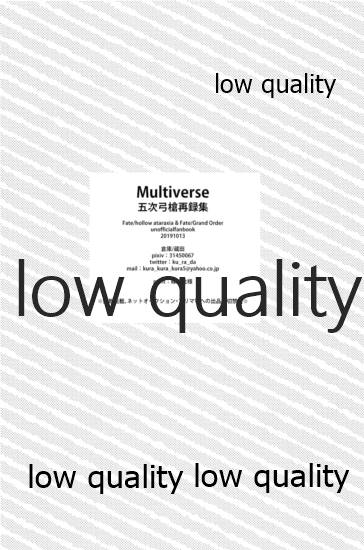 (第24次ROOT4to5) [倉庫 (蔵田)] Multiverse (Fate/Grand Order)