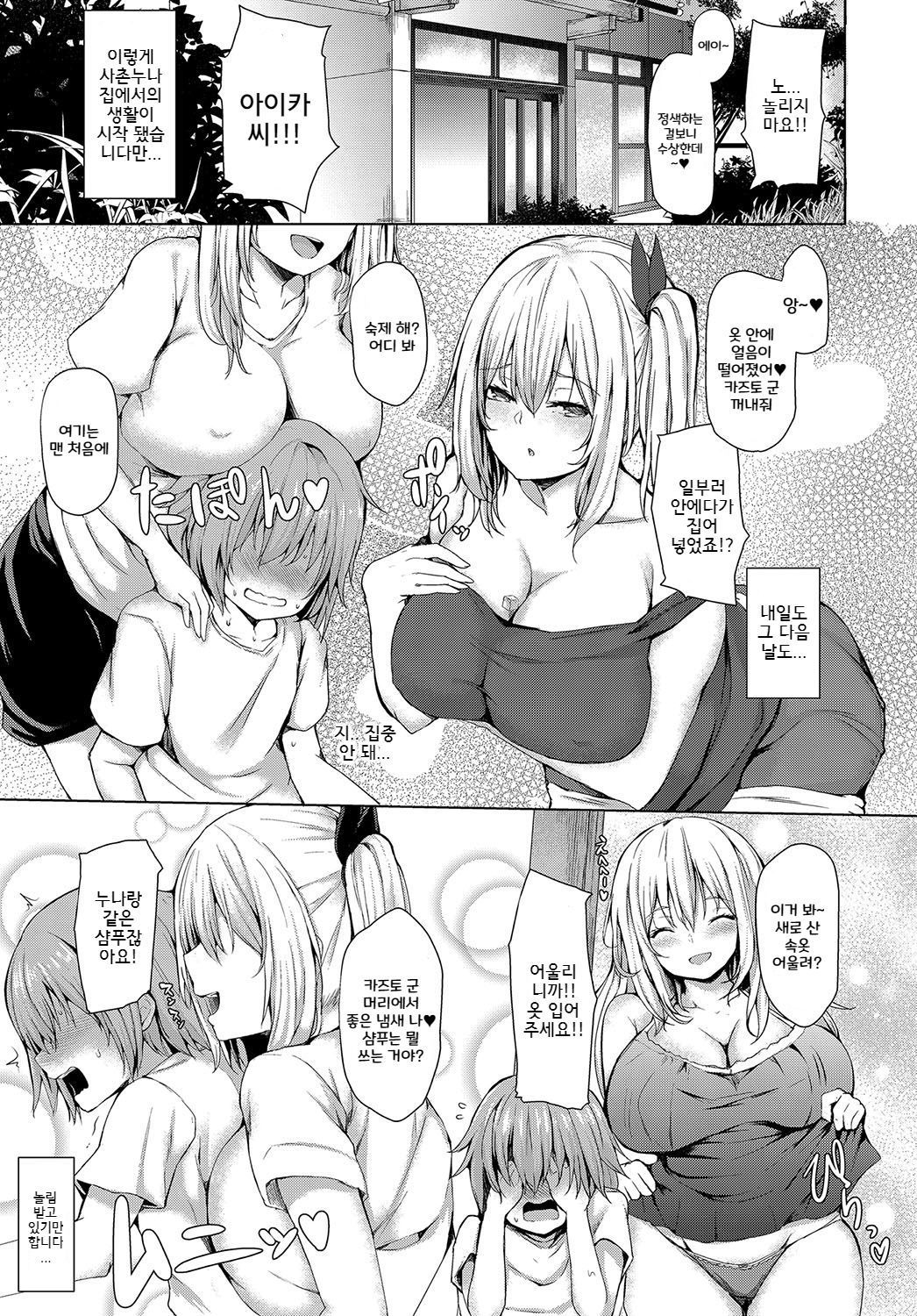 ぼくとおねえちゃんの夏夜