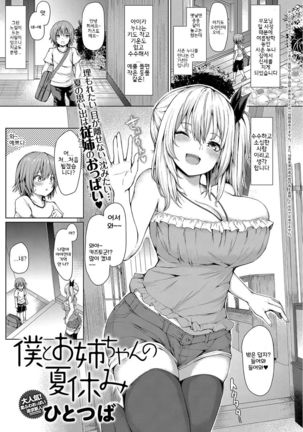 ぼくとおねえちゃんの夏夜 ぼくとおねえちゃんの夏夜