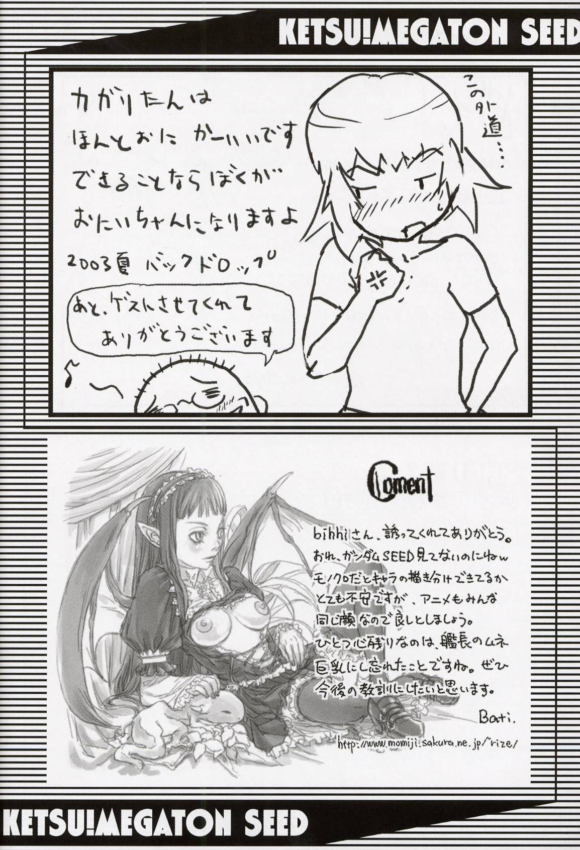 ケツメガトンシード【零食汉化組】