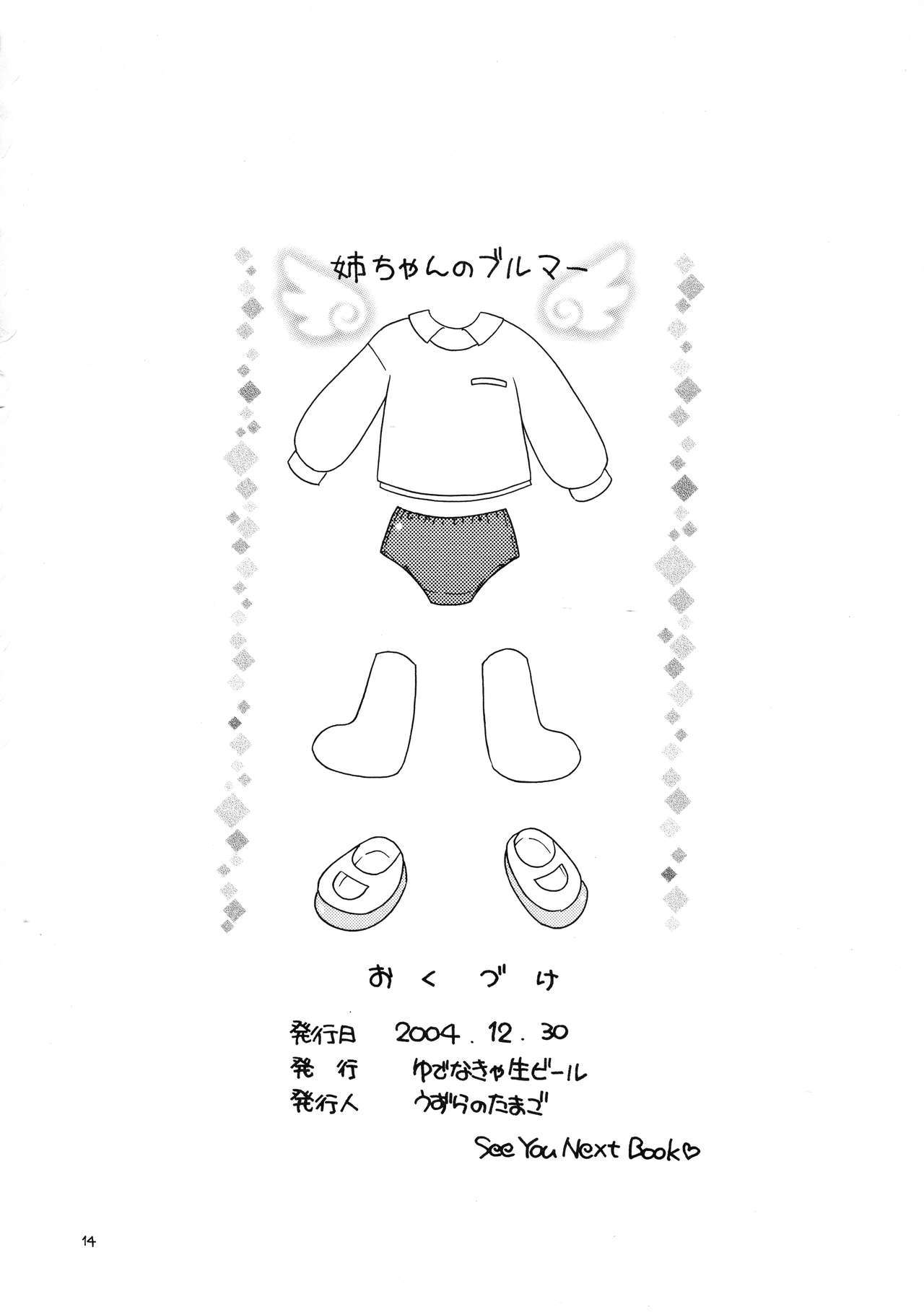 あねちゃんのブルーマー