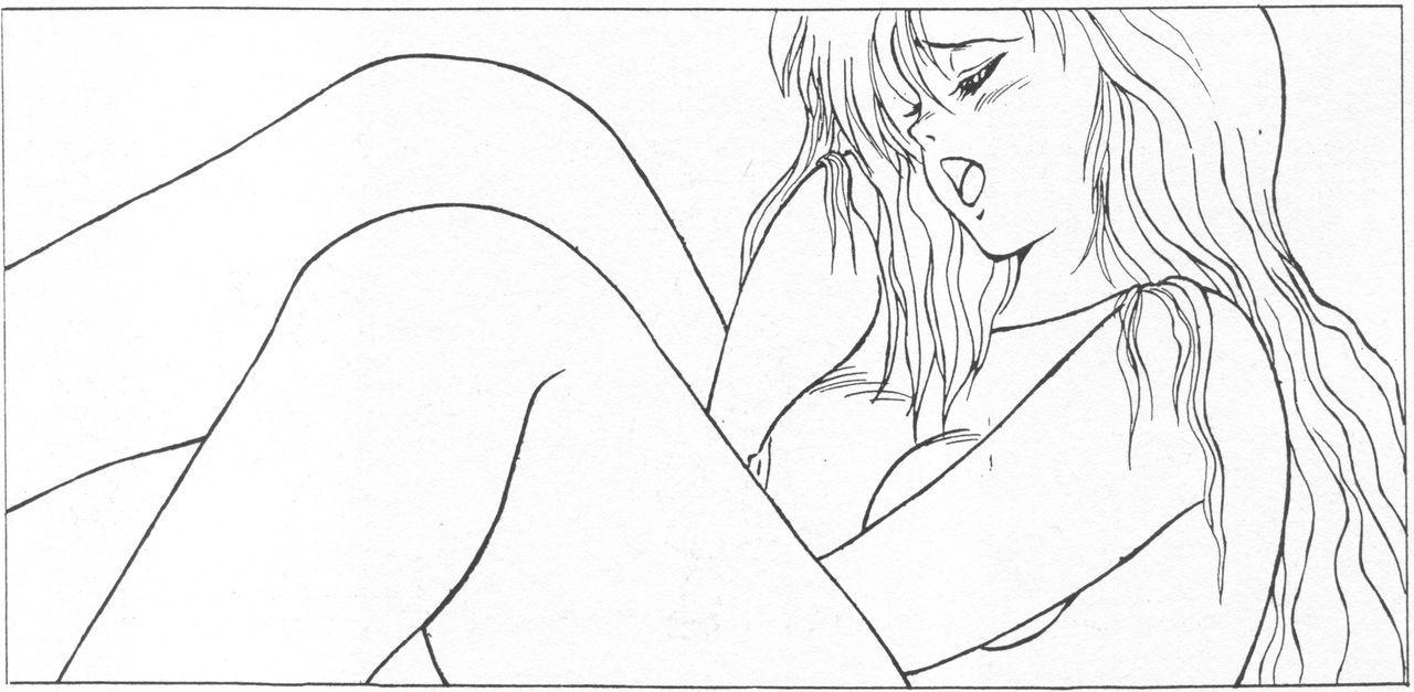 ドリームプログラムシステムシリーズ源氏セッテイ白陽