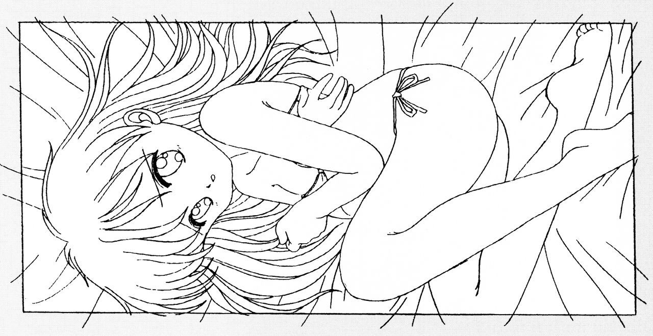 ドリームプログラムシステムシリーズ源氏セッテイ白陽