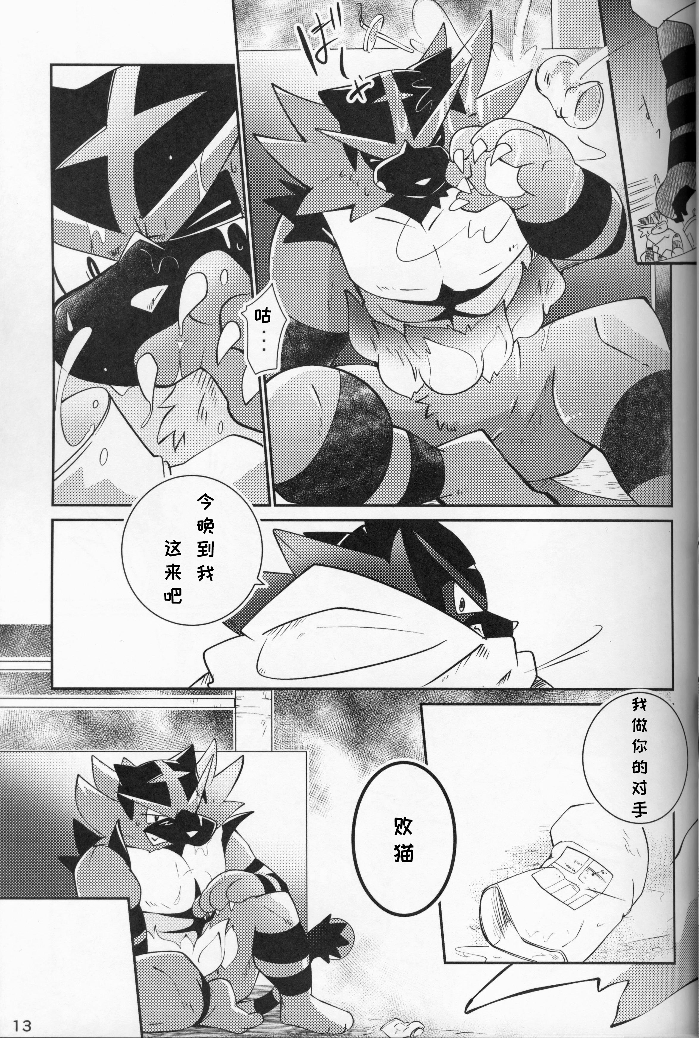 Tougi-ba no Make Neko |斗技场的败猫