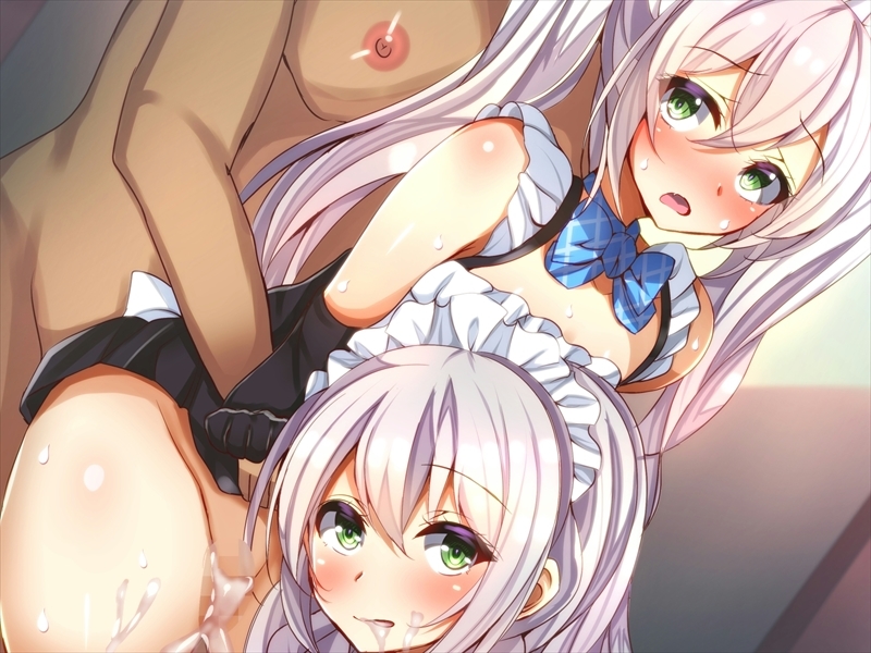 しずけメイド島井 しずけメイド島井