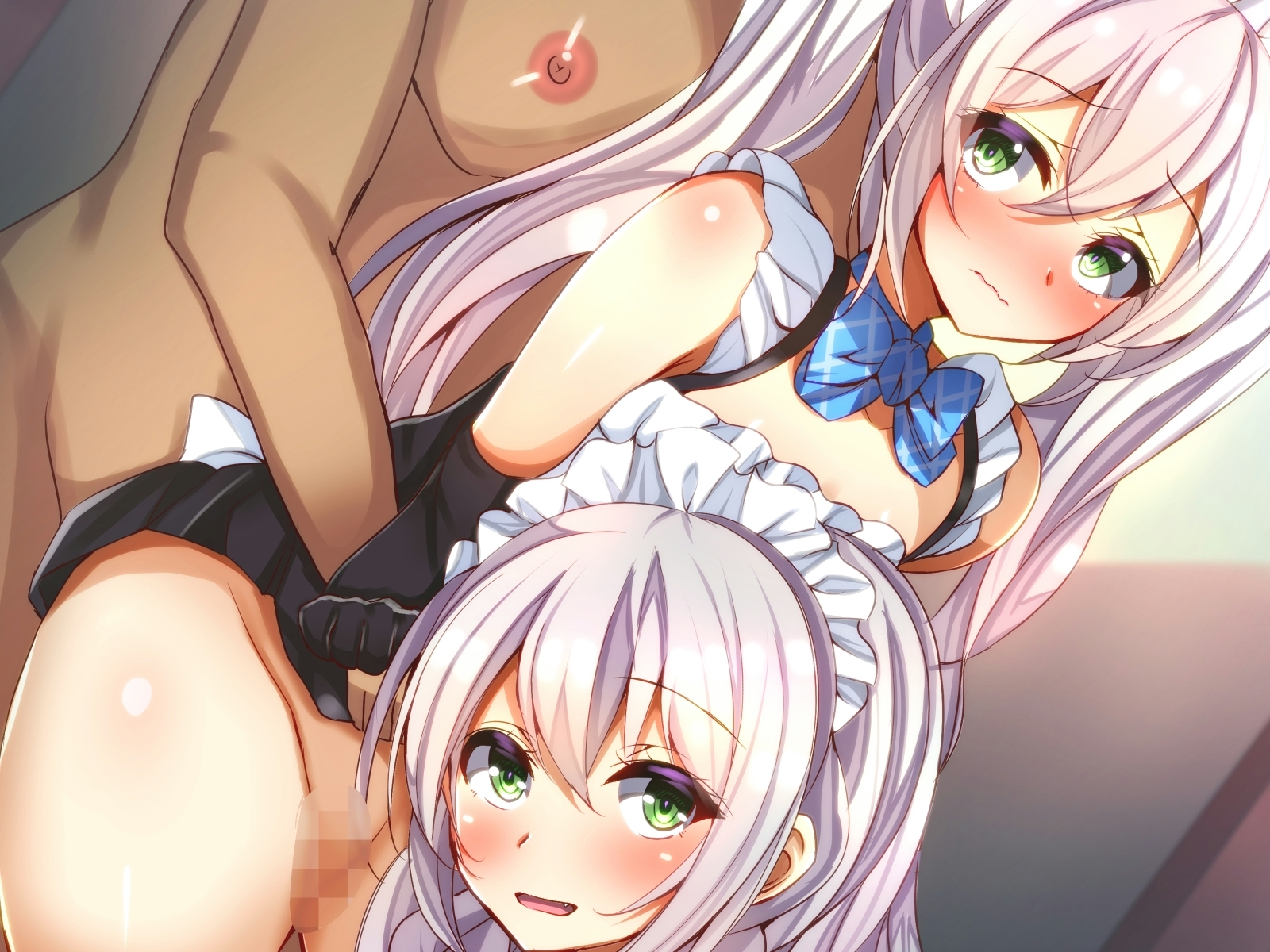 しずけメイド島井 しずけメイド島井