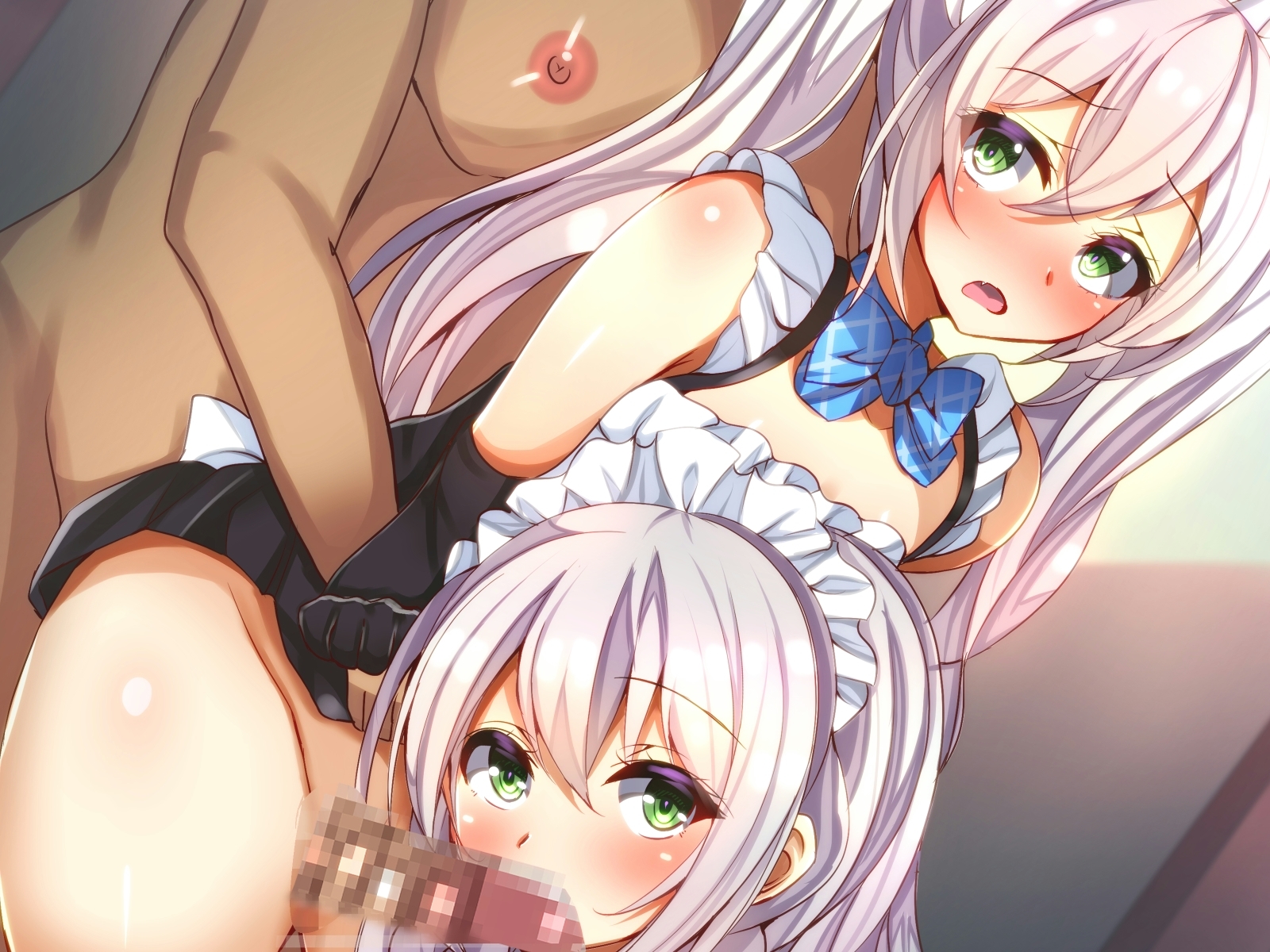 しずけメイド島井 しずけメイド島井