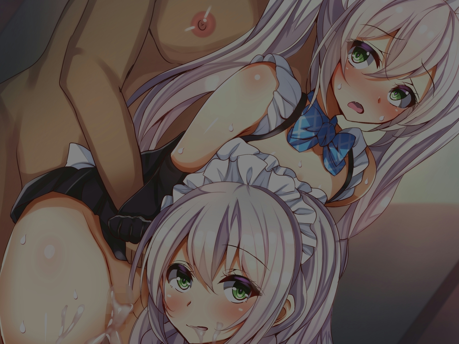 しずけメイド島井 しずけメイド島井