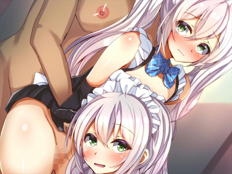 しずけメイド島井 しずけメイド島井