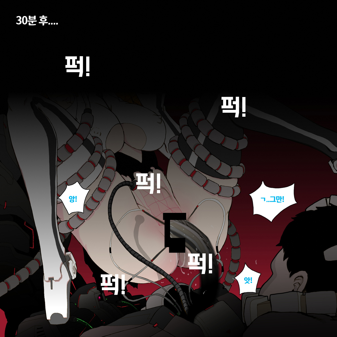 아이샤의 희생 아이샤의 희생