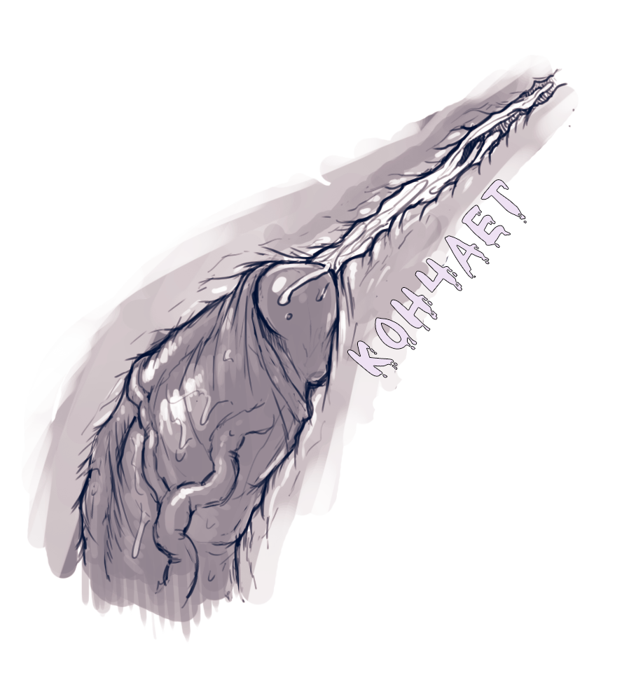 ハーレークインスーパースラット