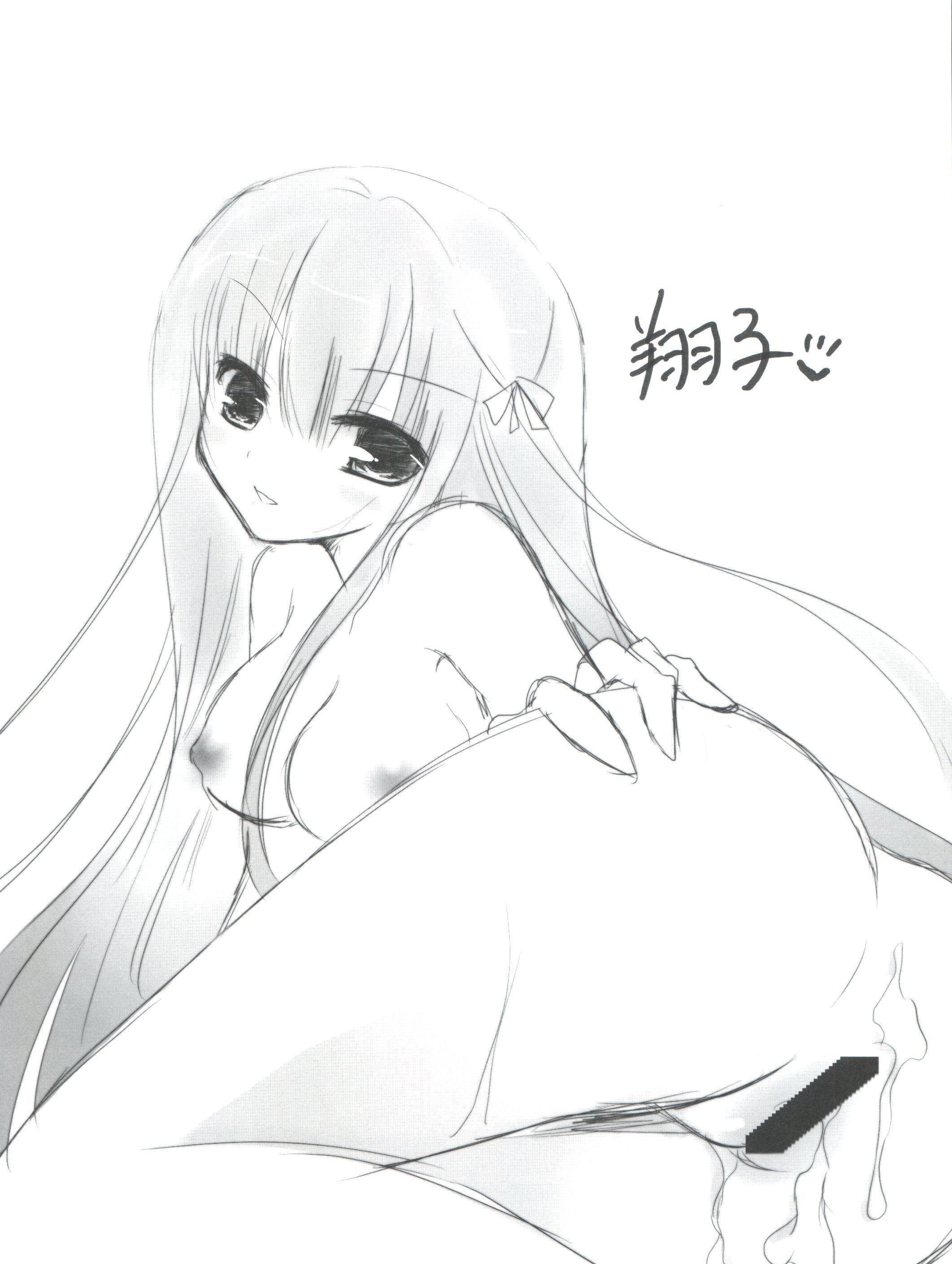 バカとテストと召喚獣姫秀吉