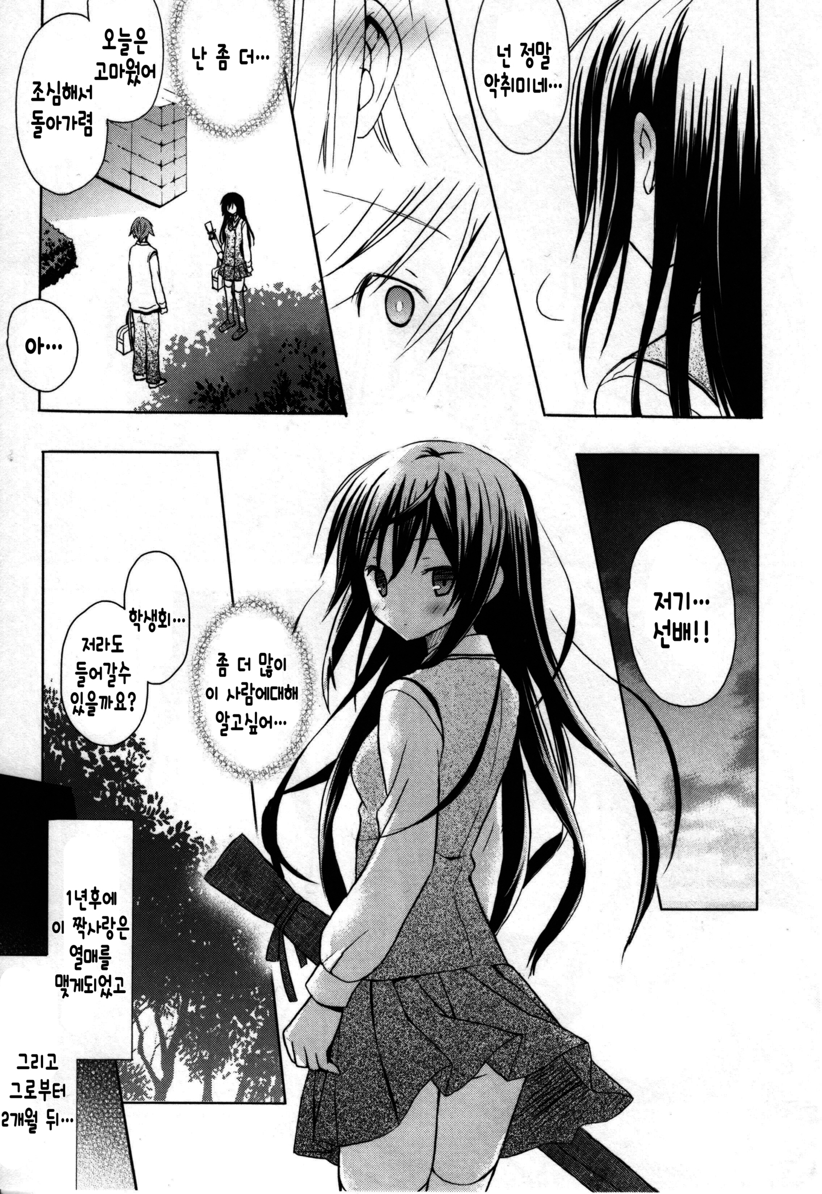 キャンディパフ商会幻想盤+ミニ合州