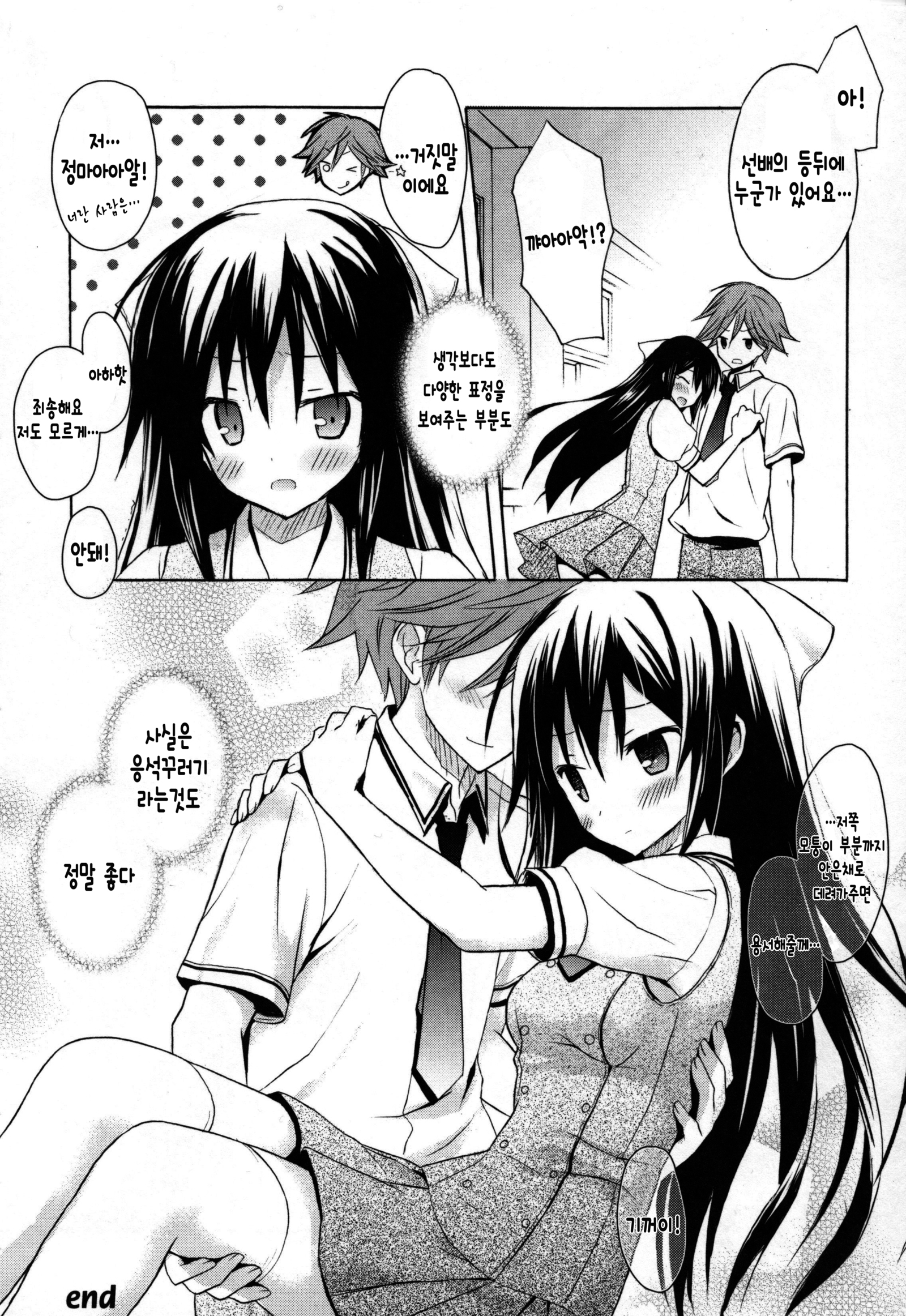 キャンディパフ商会幻想盤+ミニ合州