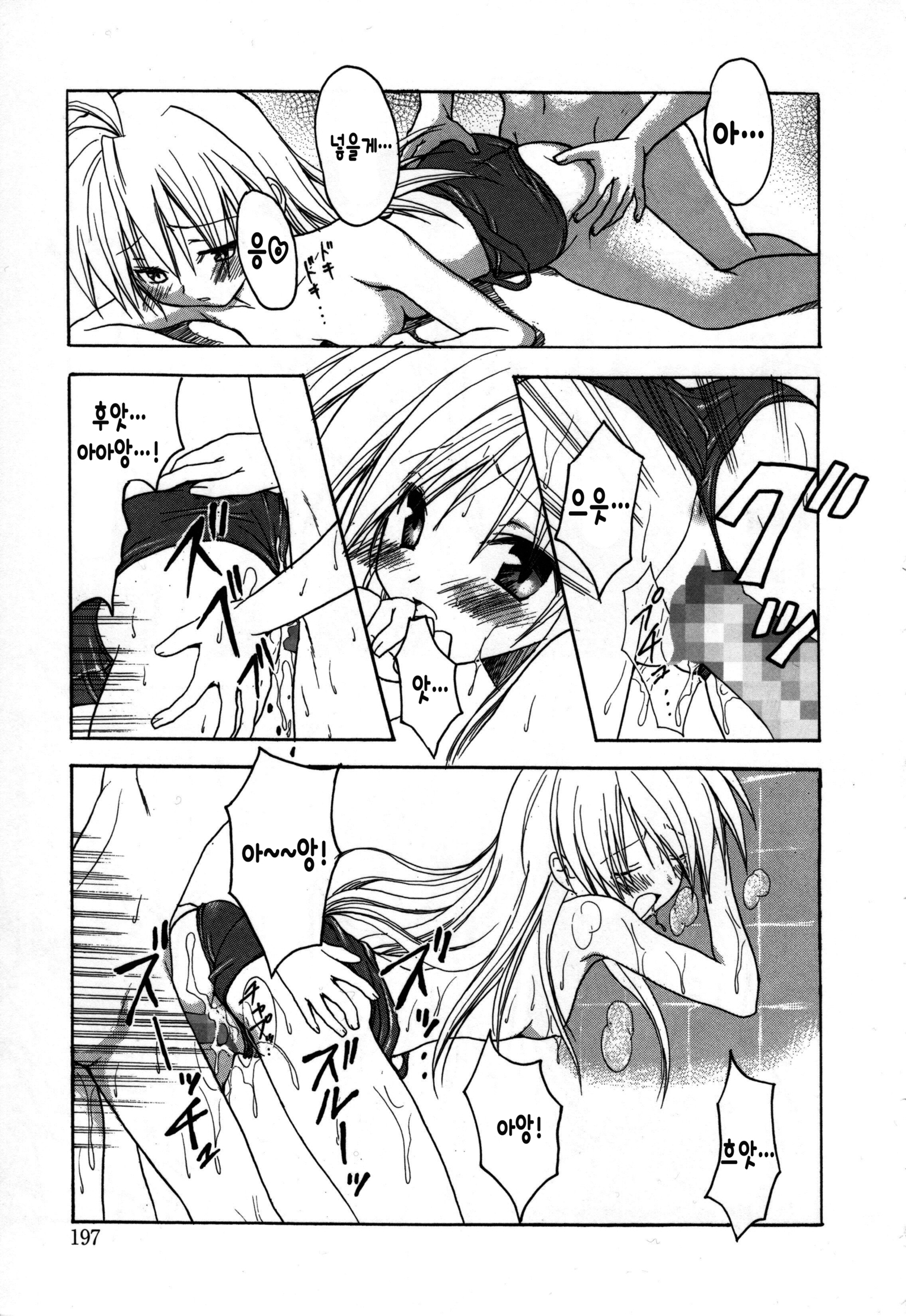 キャンディパフ商会幻想盤+ミニ合州