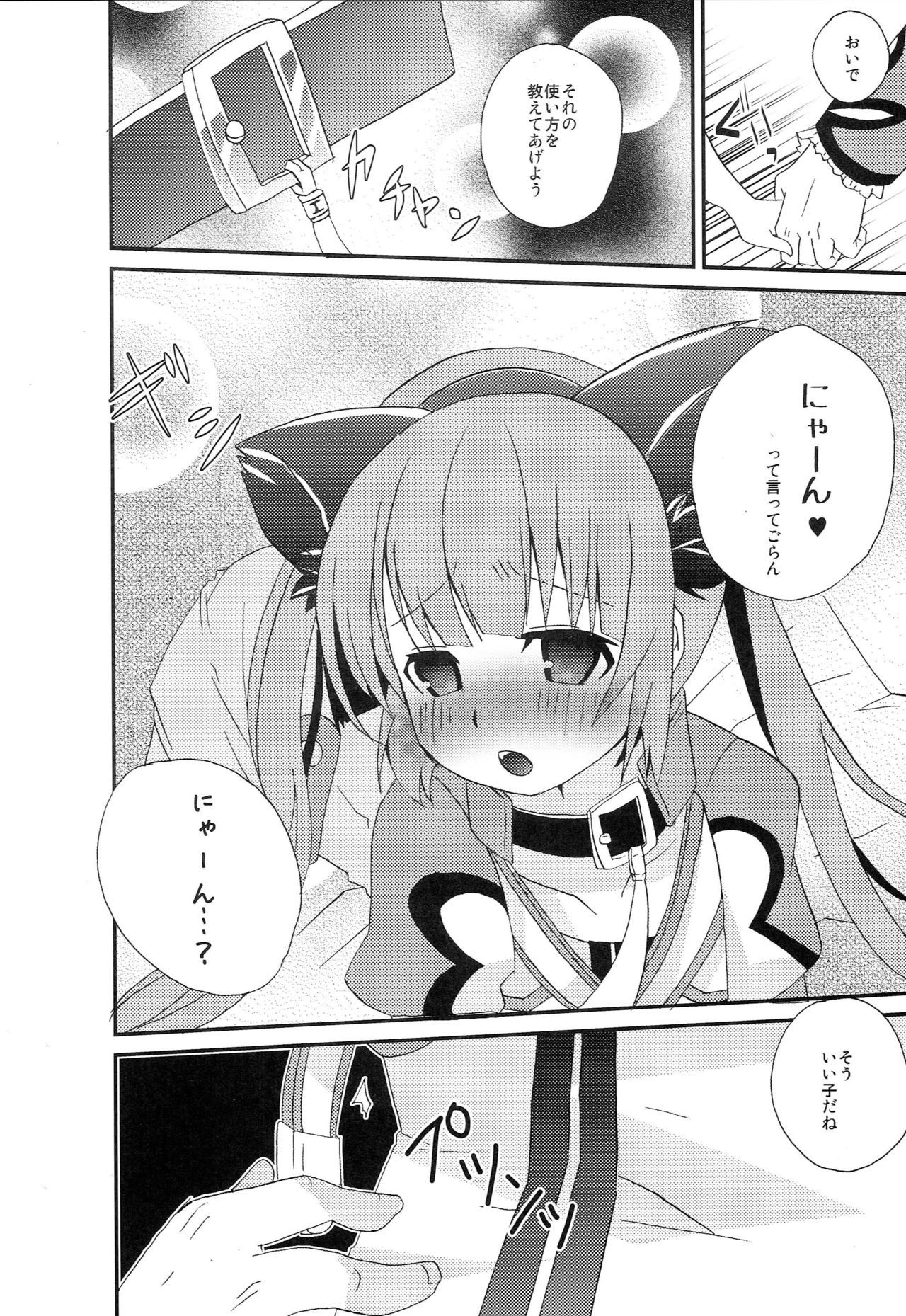 ただしいニャンコのしつけかた