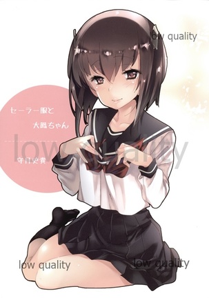 セーラー服と大鳳ちゃん セーラー服と大鳳ちゃん