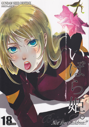 【達人達人マーガリン(山田三菱)】井原姫。 (機動戦士ガンダムSEED DESTINY) 【達人達人マーガリン(山田三菱)】井原姫。 (機動戦士ガンダムSEED DESTINY)