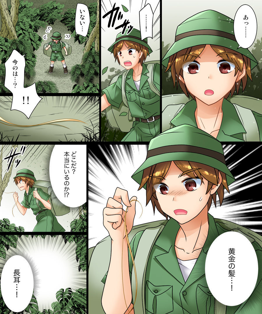 私は耳の長いエルフになりました