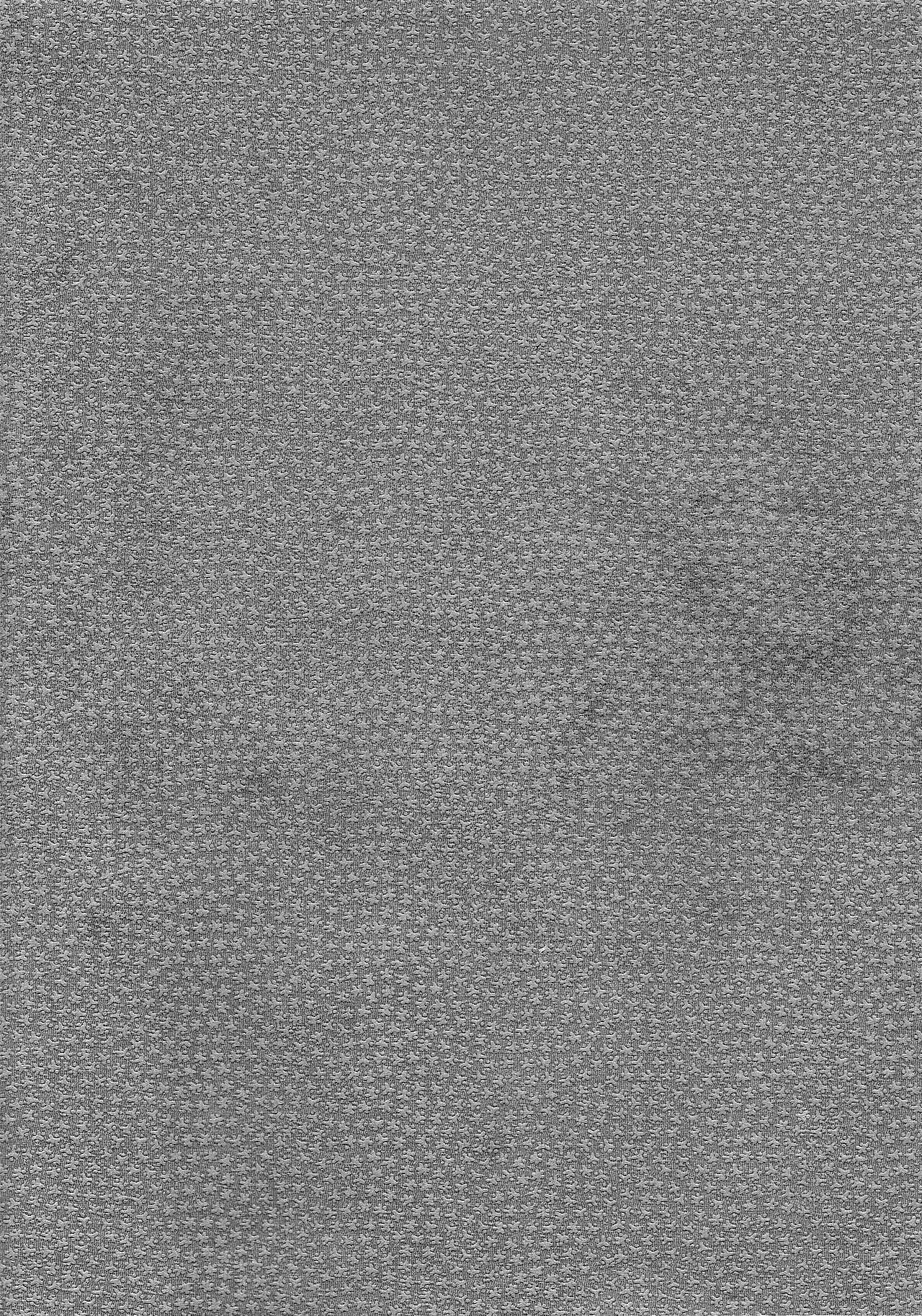 カミギンギンギンギツネ カミギンギンギンギツネ